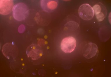 Bokeh ile soyut arkaplan