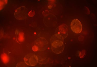 bokeh ile sanat soyut arka plan 