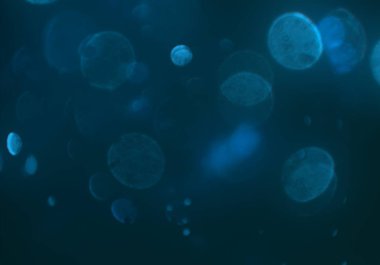 metin veya görüntü için alan ile bokeh arka plan