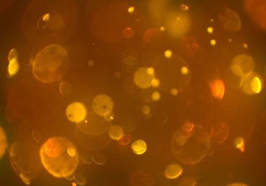 soyut bulanık bokeh arka plan, kopyalama alanı 