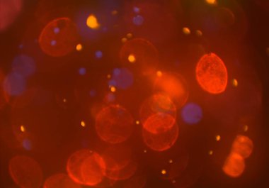 parlak bokeh ışıkları ile dijital duvar kağıdı 