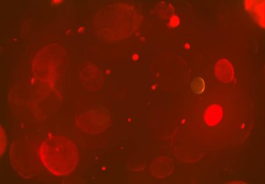 bokeh ile sanat soyut arka plan 