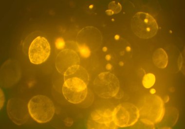 bokeh ve kopyalama alanı ile soyut arka plan