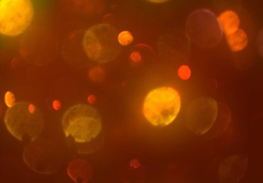 Bokeh ile soyut arkaplan