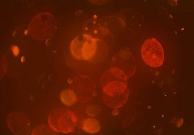 bokeh ile sanat soyut arka plan 