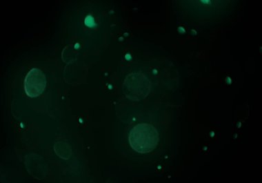 metin veya görüntü için alan ile bokeh arka plan