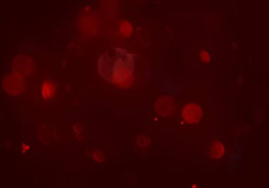 soyut bulanık bokeh arka plan, kopyalama alanı  