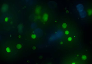 parlak bokeh ışıkları ile dijital duvar kağıdı 