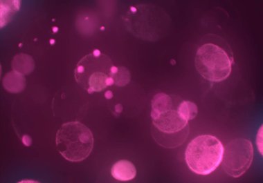 bokeh ile sanat soyut arka plan 