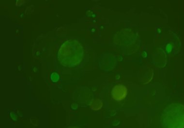 bokeh ışıkları ile soyut duvar kağıdı