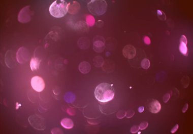 kopya alanı ile bokeh ışıkları dijital arka plan