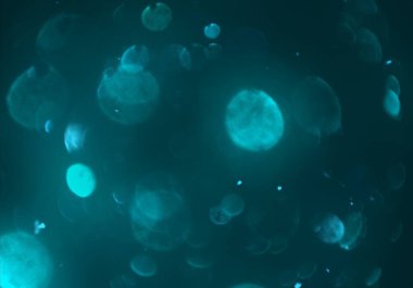 soyut bulanık bokeh arka plan, kopyalama alanı 