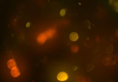 soyut bulanık bokeh arka plan, kopyalama alanı  