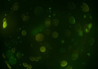 bokeh ve metin için alan ile soyut duvar kağıdı