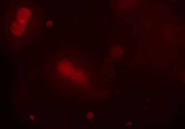 Красочный Красный Фон Боке — стоковое фото