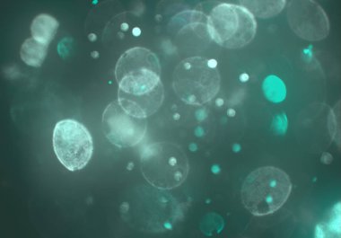 bokeh ile sanat soyut arka plan 