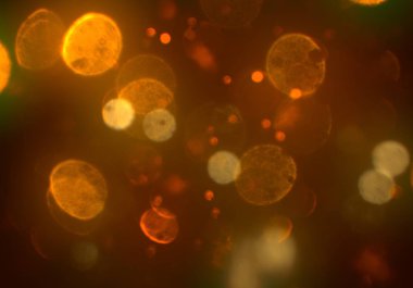 Bokeh ile soyut arkaplan