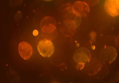 kopya alanı ile bokeh ışıkları dijital arka plan