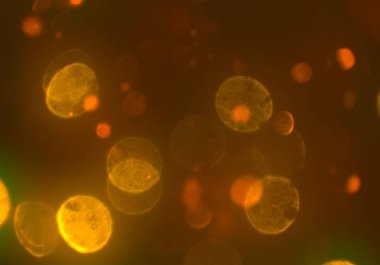 Bokeh ile soyut arkaplan