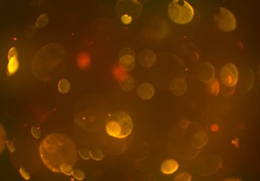 bokeh ışıkları ile soyut duvar kağıdı