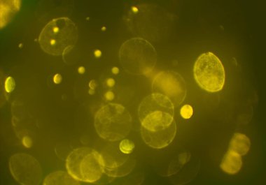 bokeh ile sanat soyut arka plan 