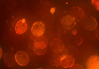 kopya alanı ile bokeh ışıkları dijital arka plan