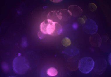 bokeh ışıkları ile soyut duvar kağıdı