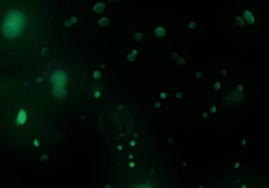 Tasarımınız için parlak bokeh arka plan