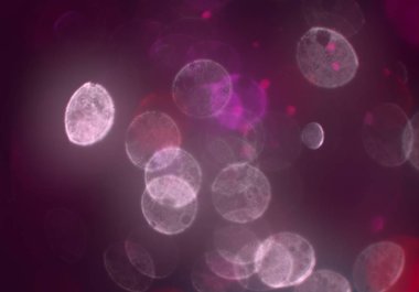 Tasarımınız için parlak bokeh arka plan