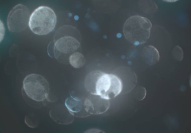 bokeh ile sanat soyut arka plan 