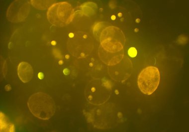 parlak bokeh ışıkları ile dijital duvar kağıdı 