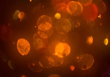 bokeh abstact arka plan ile galaksi