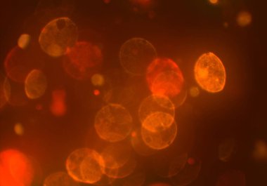 Işıklı soyut arkaplan