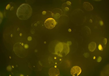 bokeh ile sanat soyut arka plan 