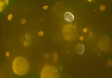 soyut arkaplan, kopyalama alanı