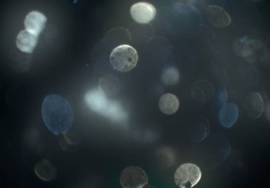 bokeh ile sanat soyut arka plan 