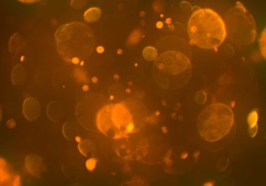 bokeh abstact arka plan ile galaksi