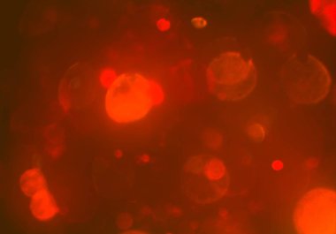 bokeh ve metin için alan ile soyut duvar kağıdı