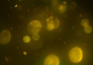 bokeh ışıkları ile soyut duvar kağıdı