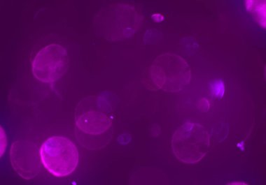 Kalpli soyut arkaplan