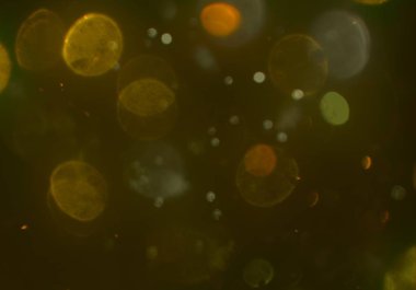 bokeh abstact arka plan ile galaksi