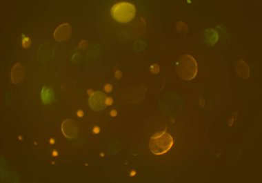 metin veya görüntü için alan ile bokeh arka plan