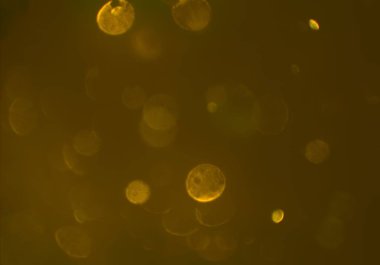 metin veya görüntü için alan ile bokeh arka plan