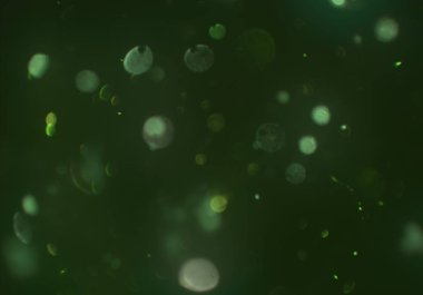 bokeh ile sanat soyut arka plan 