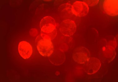 bokeh abstact arka plan ile galaksi