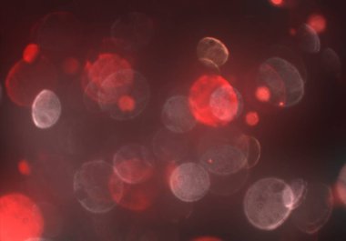 soyut arkaplan, kopyalama alanı