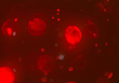 soyut bulanık bokeh arka plan, kopyalama alanı  