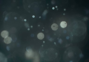 metin veya görüntü için alan ile bokeh arka plan