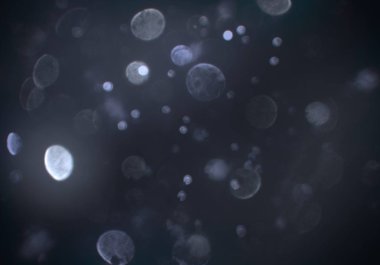 soyut bulanık bokeh arka plan, kopyalama alanı  