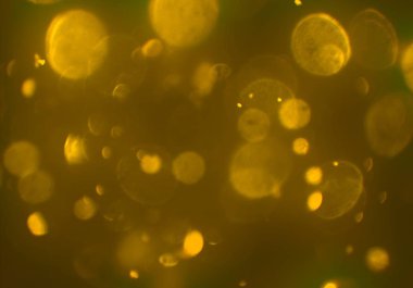 Bokeh ile soyut arkaplan